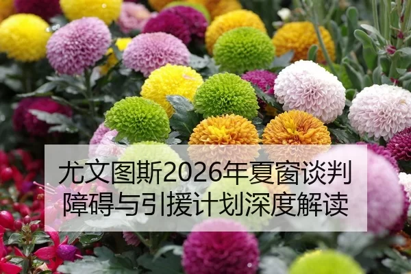 you-wen-tu-si-nian-xia-chuang-tan-pan-zhang-ai-yu-yin-yuan-ji-hua-shen-du-jie-du-2-968.jpg