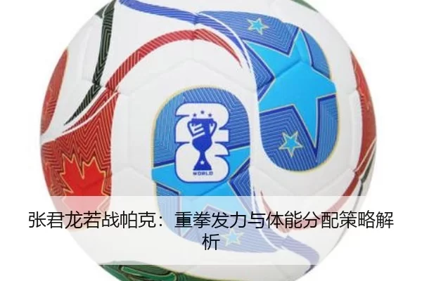 张君龙若战帕克：重拳发力与体能分配策略解析